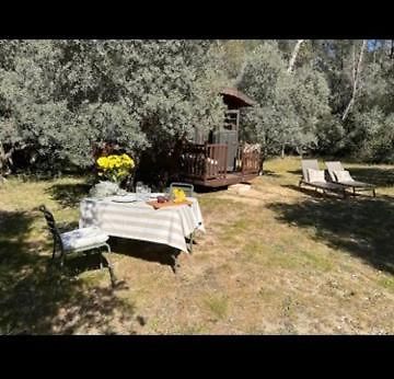 Hotel Roulotte / Tiny House Dans Les Alpilles Saint-Rémy-de-Provence Zewnętrze zdjęcie